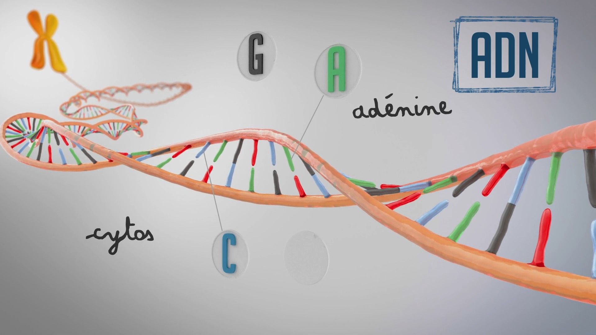 Genome - Director : Philippe Mayade / CG Artist : Arnaud Guillon-Cedric Poligne-Thierry Canon
